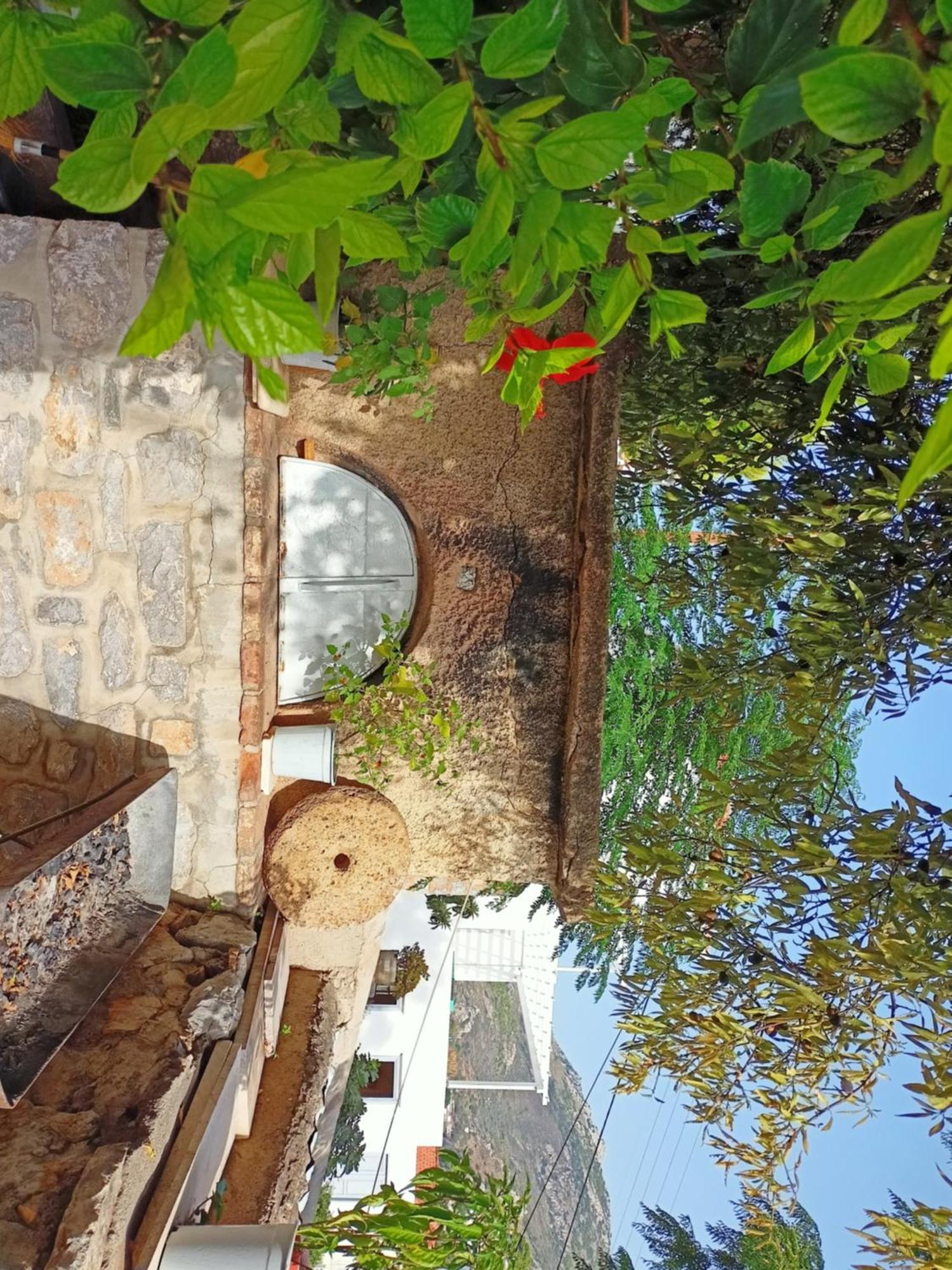 Smaragdas Paradise Đảo Hydra Phòng bức ảnh